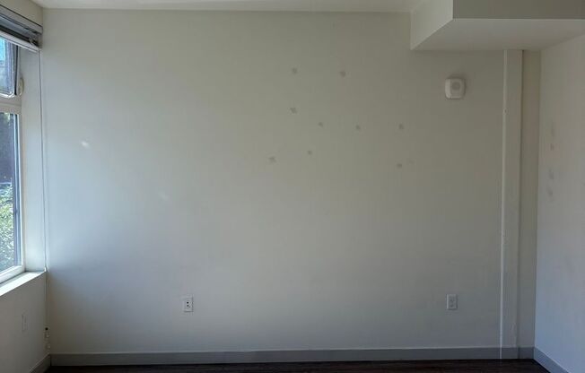 Studio, 1 bath, 306 sqft, $1,200, Unit 207
