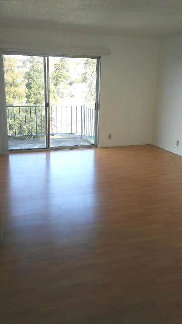 Beautiful studio apartment in a well-maintained building on Solano Ave