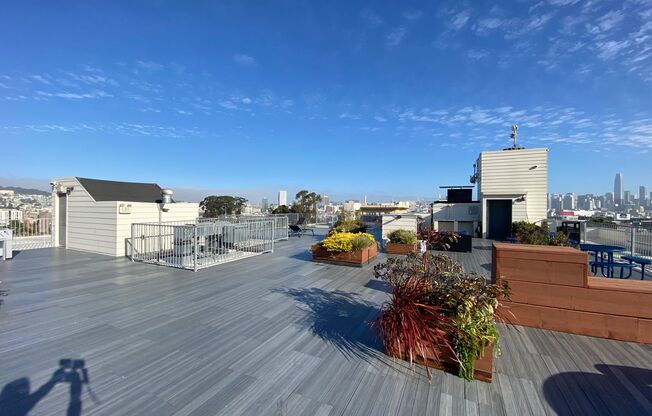 Studio, 1 bath, 370 sqft, $3,081, Unit 480 Potrero Ave, Unit 210