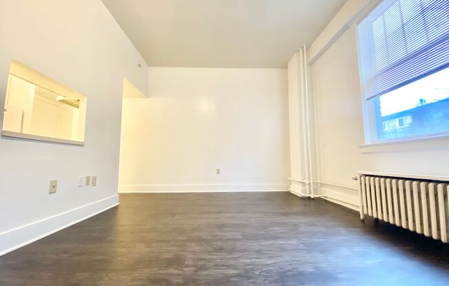 Studio, 1 bath, 330 sqft, $1,095, Unit 103