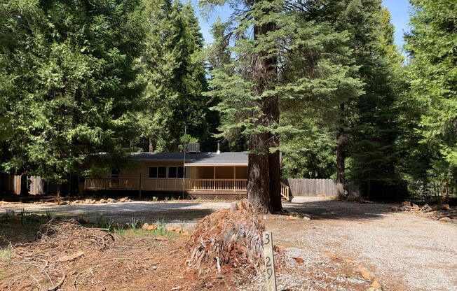 Great Shingletown location, near Lake McCumber