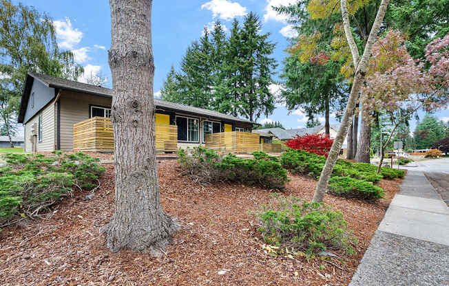 A tree stands in front of a yellow house.