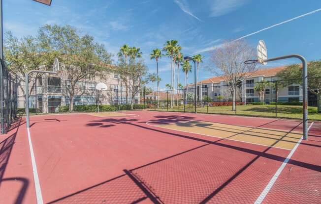 Basketball Court at The Boot Ranch Apartments, Palm Harbor, 34685