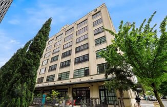 Stunning Pearl Loft with Washer/Dryer in Unit & Secure Parking