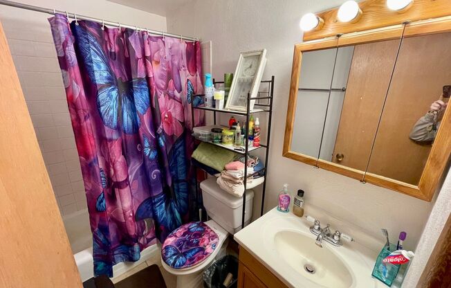 1 bed, 1 bath, $1,025, Unit 207