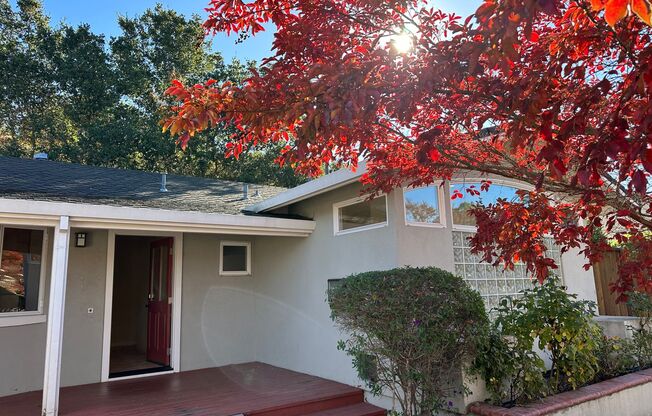 LOS GATOS - Beautifully upgraded property in desirable Los Gatos location, Los Gatos Schools