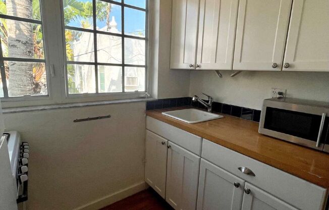 Studio, 1 bath, 446 sqft, $1,750, Unit 12
