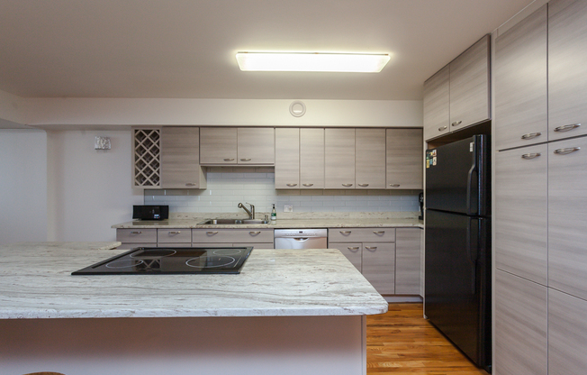 40 E 9th St, Chicago IL 304