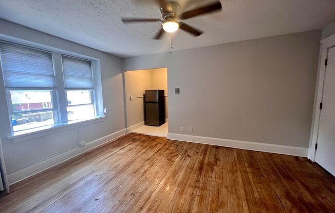 Studio, 1 bath, 300 sqft, $1,475, Unit Unit 207