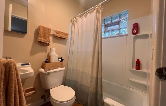 Studio, 1 bath, $775, Unit 8