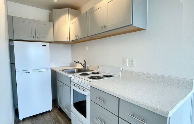 Studio, 1 bath, 370 sqft, $1,425, Unit 407