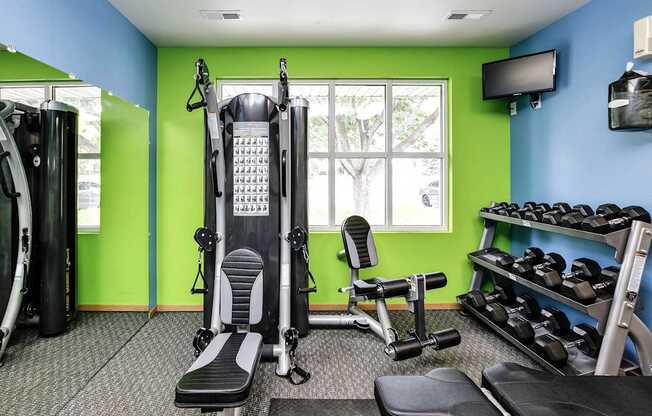 A gym with a green wall and a treadmill.