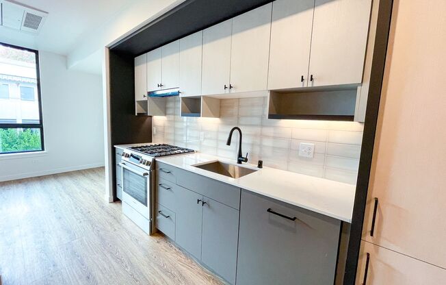1 bed, 1 bath, 512 sqft, $2,895, Unit 207