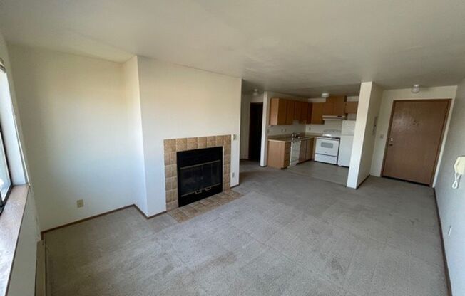 (1K) Kristine Apartments