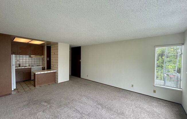 1 bed, 1 bath, $2,595, Unit 04