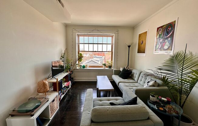3 beds, 2 baths, 736 sqft, $2,995, Unit 46