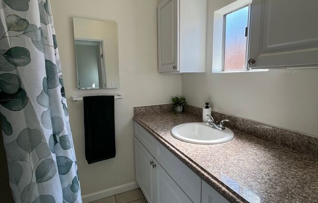 Studio, 1 bath, 200 sqft, $1,275, Unit 10534