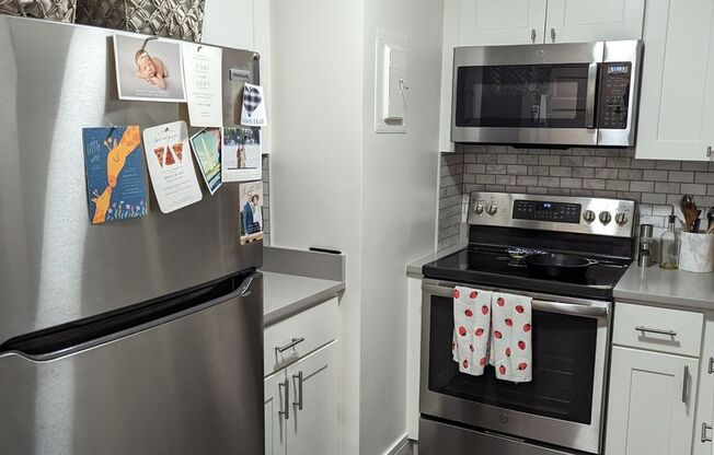 1 bed, 1 bath, 606 sqft, $3,100, Unit 1008