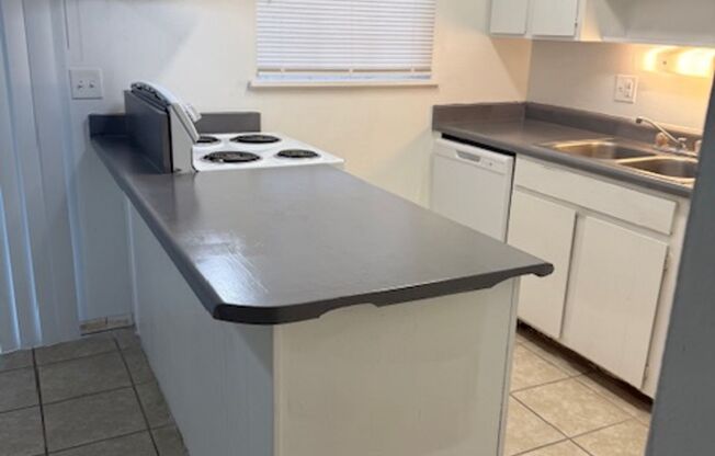 Large One Bedroom Condo