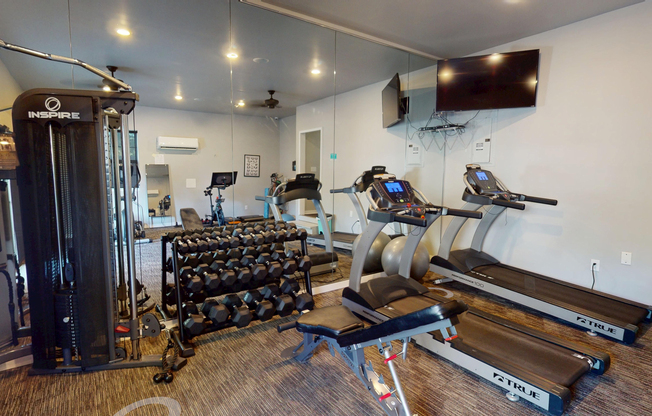 Spring Haven Fitness Room