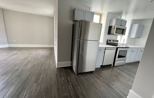 1 bed, 1 bath, 555 sqft, $1,500, Unit 305
