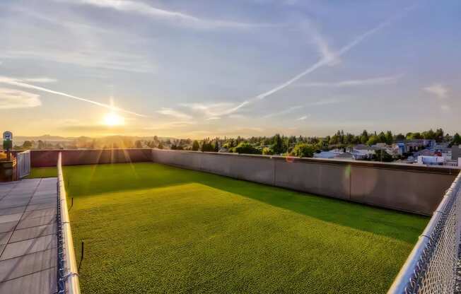 Ballard Lofts Community Amenities Open Air Pet Walk Dog Relief Area