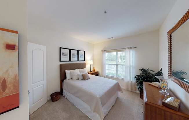 Bedroom with window; carpet