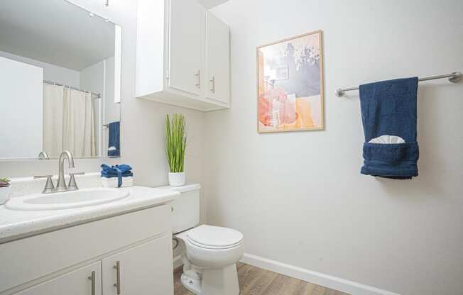 a bathroom with a sink toilet and a mirror