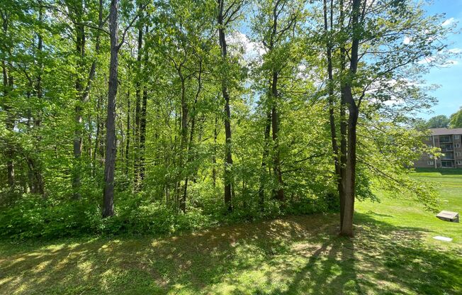 1 bed, 1 bath, 745 sqft, $1,685, Unit 14233-102