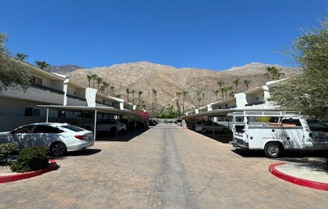 Beautiful Oasis in Palm Springs!