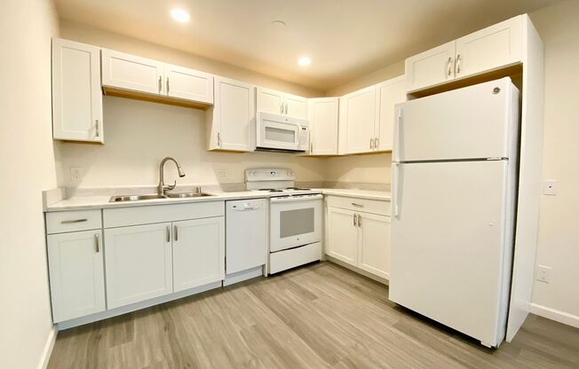 Renovated Pet-Friendly STUDIO with Full Kitchen & Bath - Water & Garbage Included!