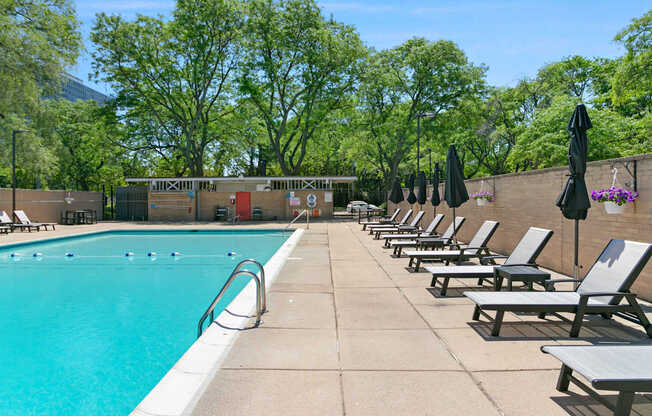 A pool surrounded by trees and lounge chairs.