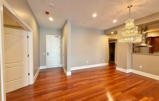 Luxurious Downtown Raleigh Condo with High Ceilings, Tons of Natural Light, and Within Walking Distance to Shopping, Dining, and Entertainment Options