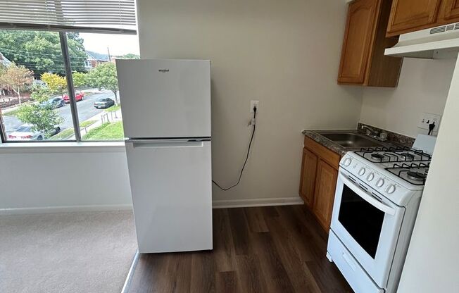 Studio, 1 bath, $1,350, Unit 204