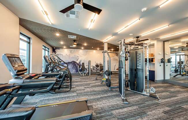 a gym with cardio machines and weights at the renaissance at port royal apartments