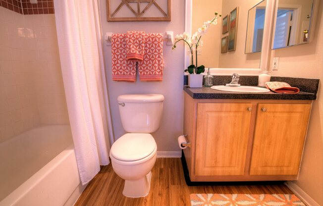 Modern, spacious bathrooms are in every Providence at Palm Harbor apartment home.