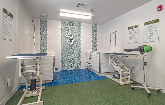 Dog Care at Heritage Court, Ewing