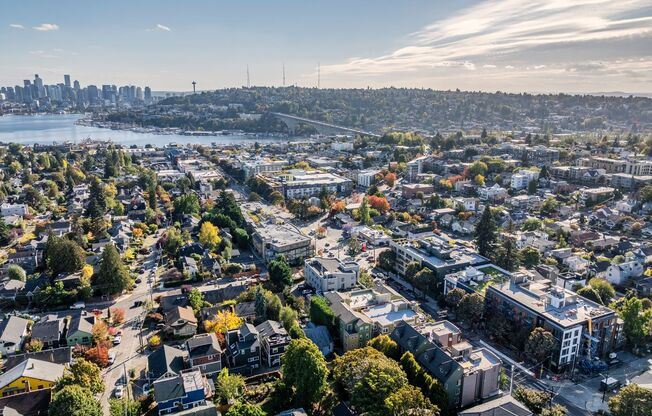 1 bed, 1 bath, 461 sqft, $1,750, Unit 201