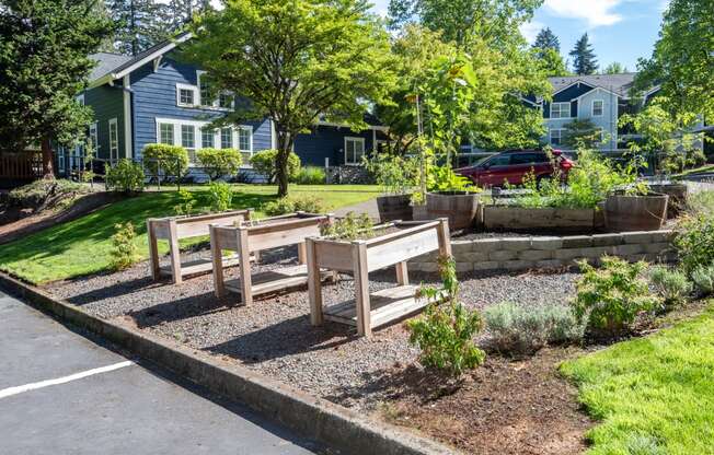 Stillwater community garden, Hillsboro, Oregon, 97124