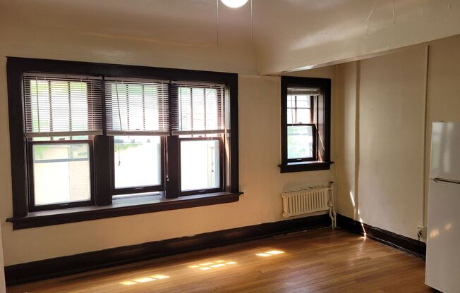 Studio, 1 bath, $795, Unit 207