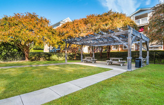 Courtyard With Bbq Area And Lush Gardens at Cedar Springs Apartments, Raleigh