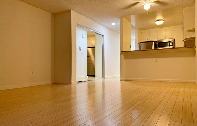 Studio, 1 bath, 465 sqft, $1,845