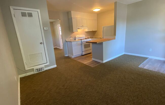 1 bed, 1 bath, 430 sqft, $700, Unit 5