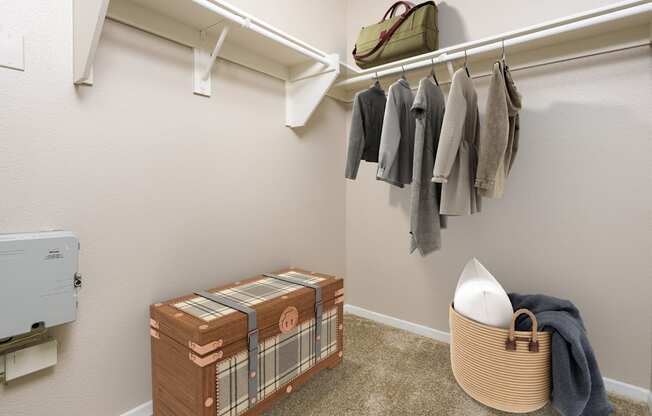 a spacious apartment closet at FountainGlen Temecula