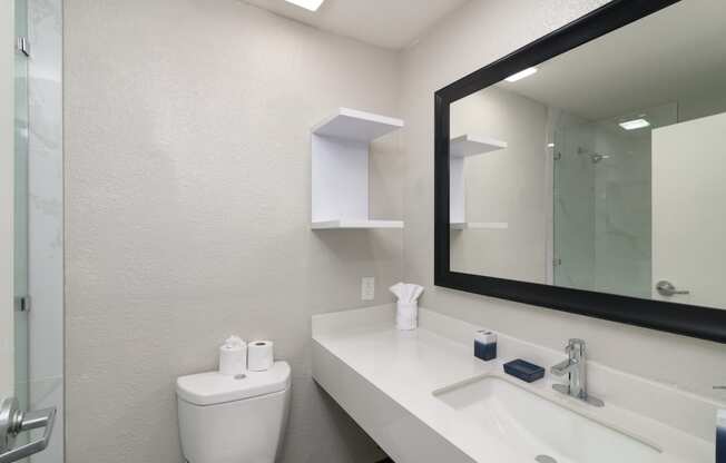 a bathroom with a mirror and a sink and a toilet