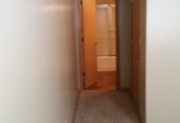 2 beds, 2 baths, 1,066 sqft, $1,209, Unit 1-308