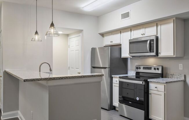 1 bed, 1 bath, 1,000 sqft, $1,375, Unit APT B