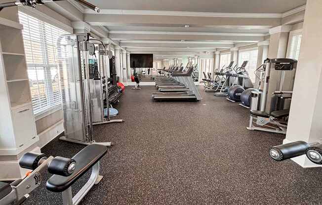 Fitness studio with cardio and weight machines