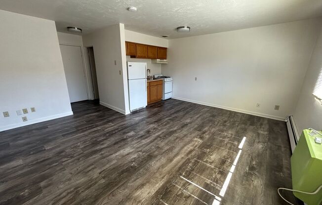 Studio, 1 bath, $750, Unit 205
