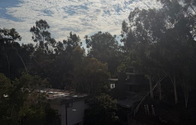 Studio, 1 bath, 362 sqft, $2,250, Unit 403